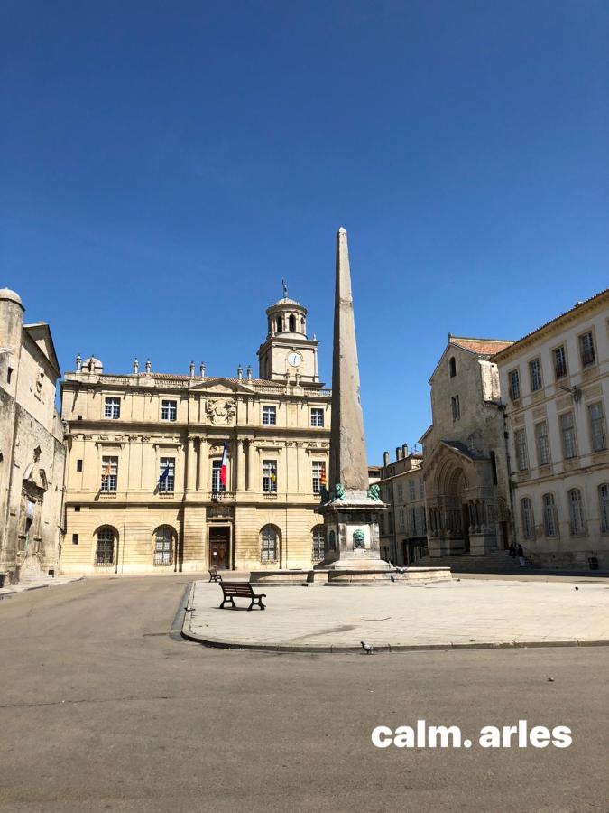 Maison Terrasse Beauduc, Arles Leilighet Eksteriør bilde